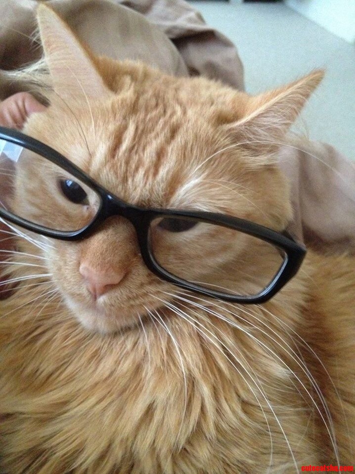 In Deep Thought