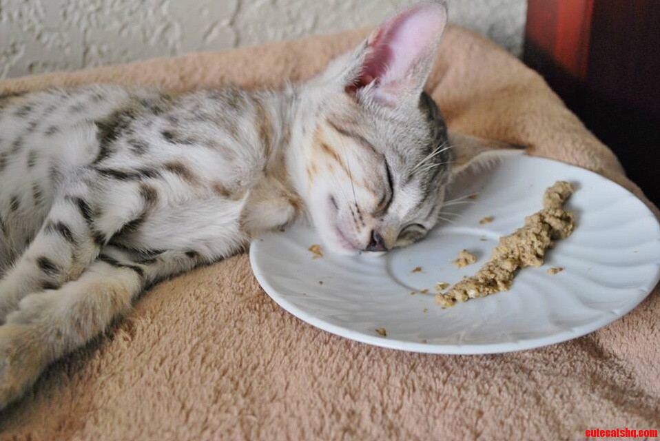 In Our Household We Affectionately Call This a Food Hangover