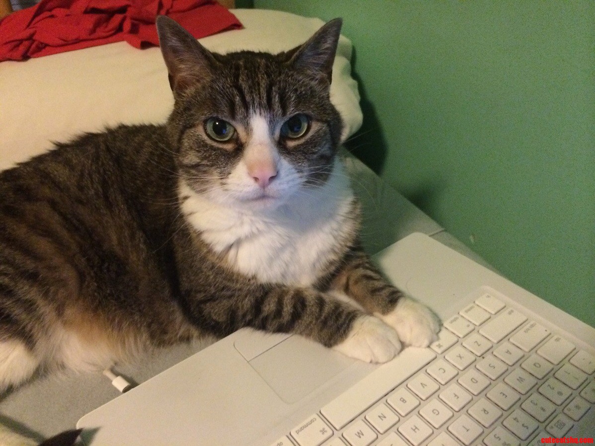 Leave Me Be Human I Have Too Much Work to Do.
