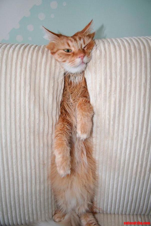 Little Help Here...
