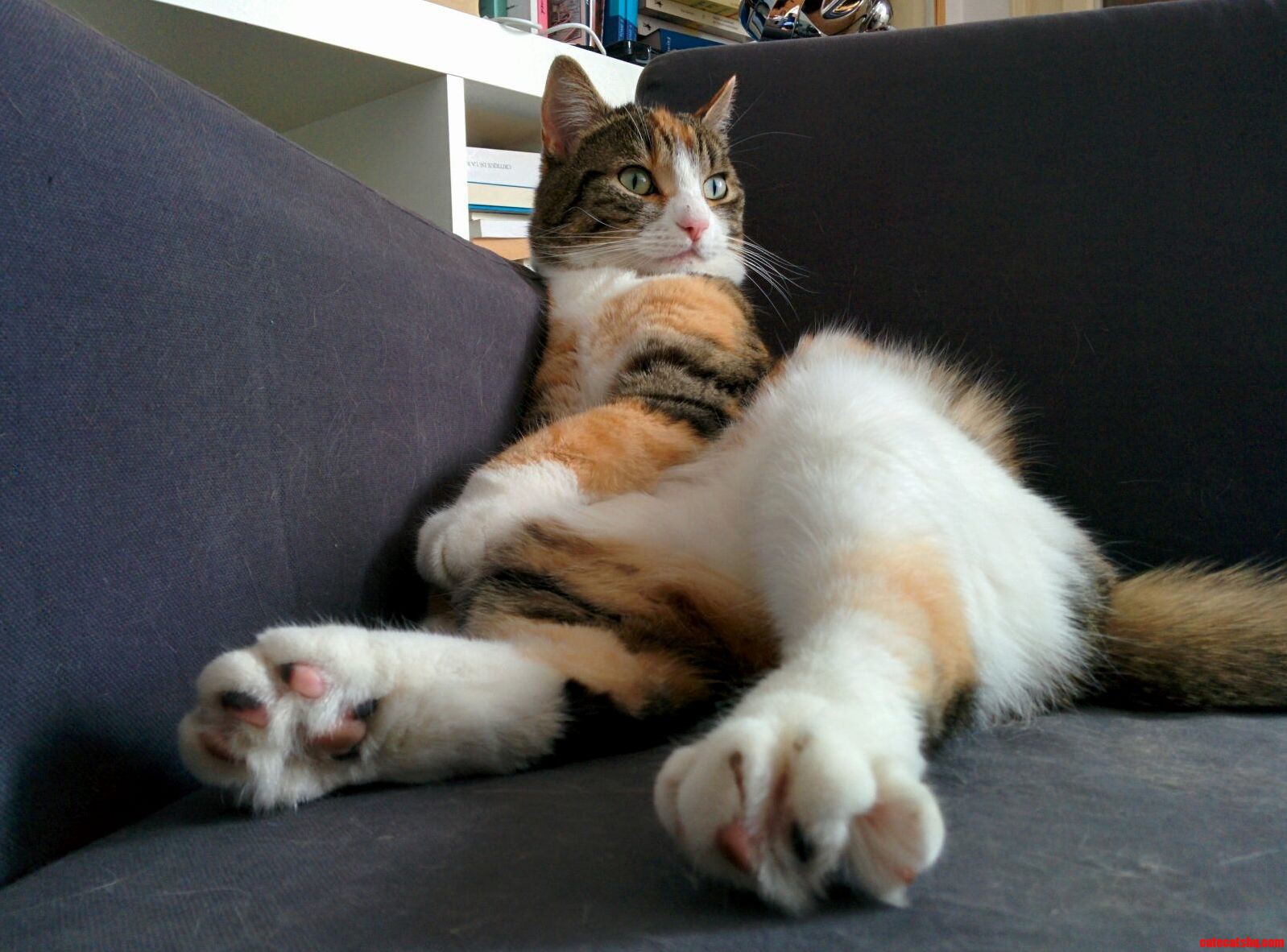 Look at These Hairy Legs.