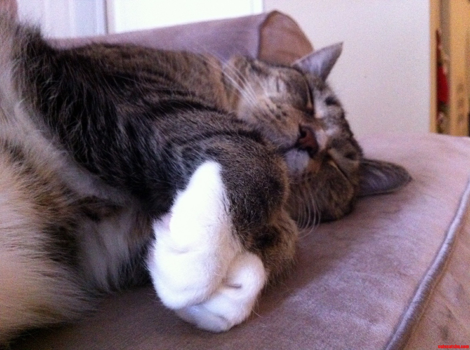 Lord Buckley Sleeps
