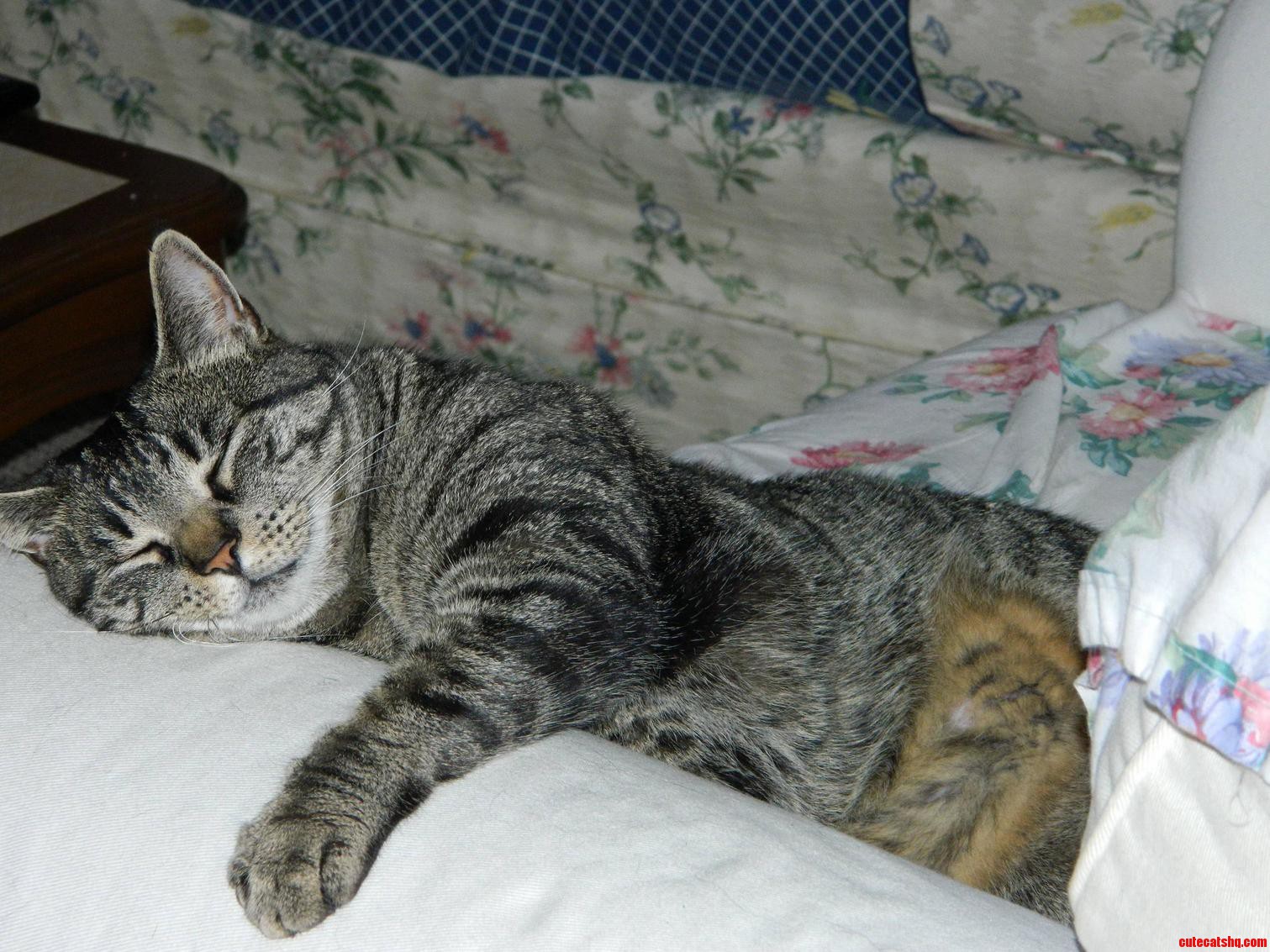 Lulu Had a Long Hard Day...time to Relax a Little Bit...
