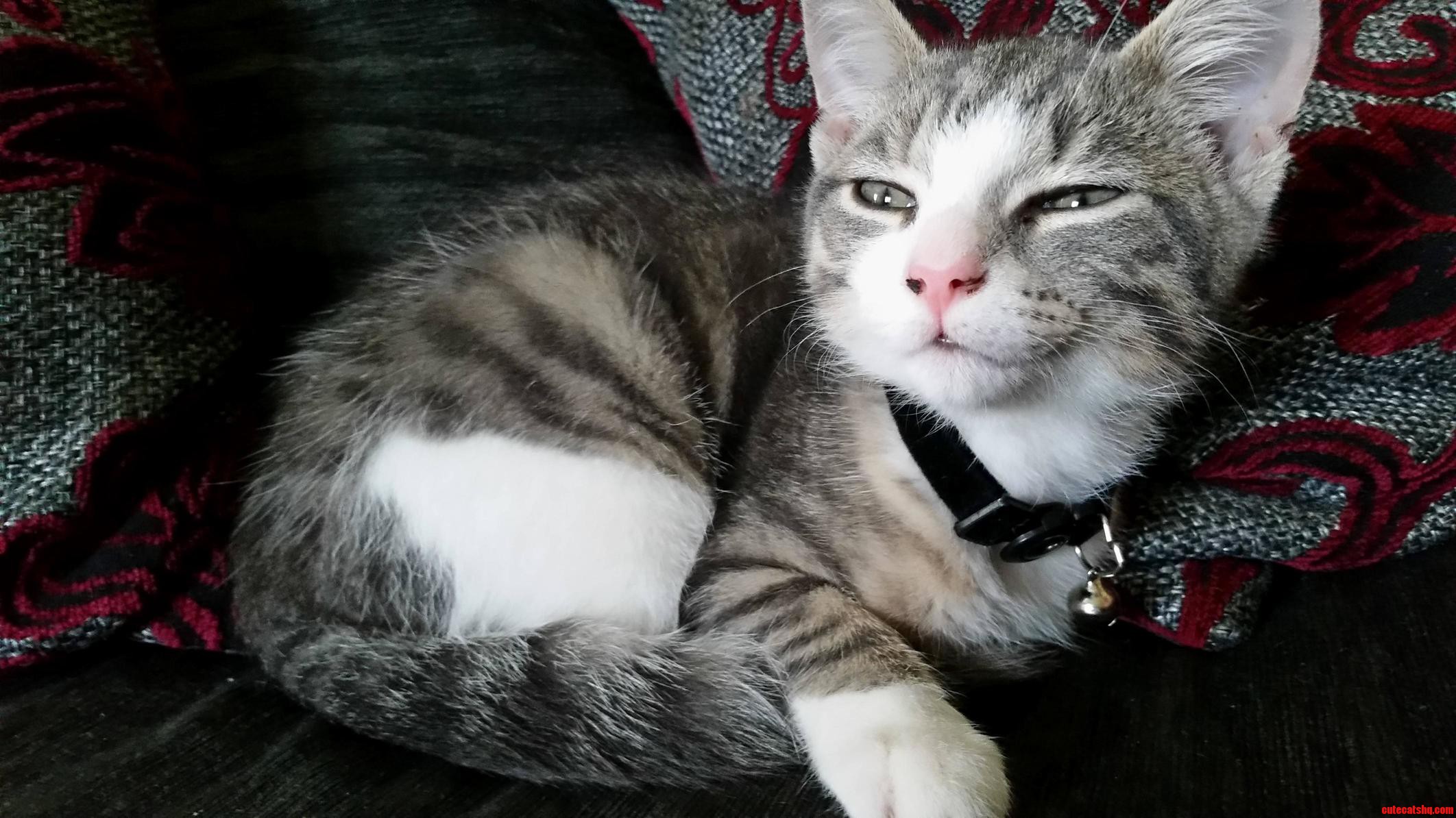Meet Ezio Auditore.