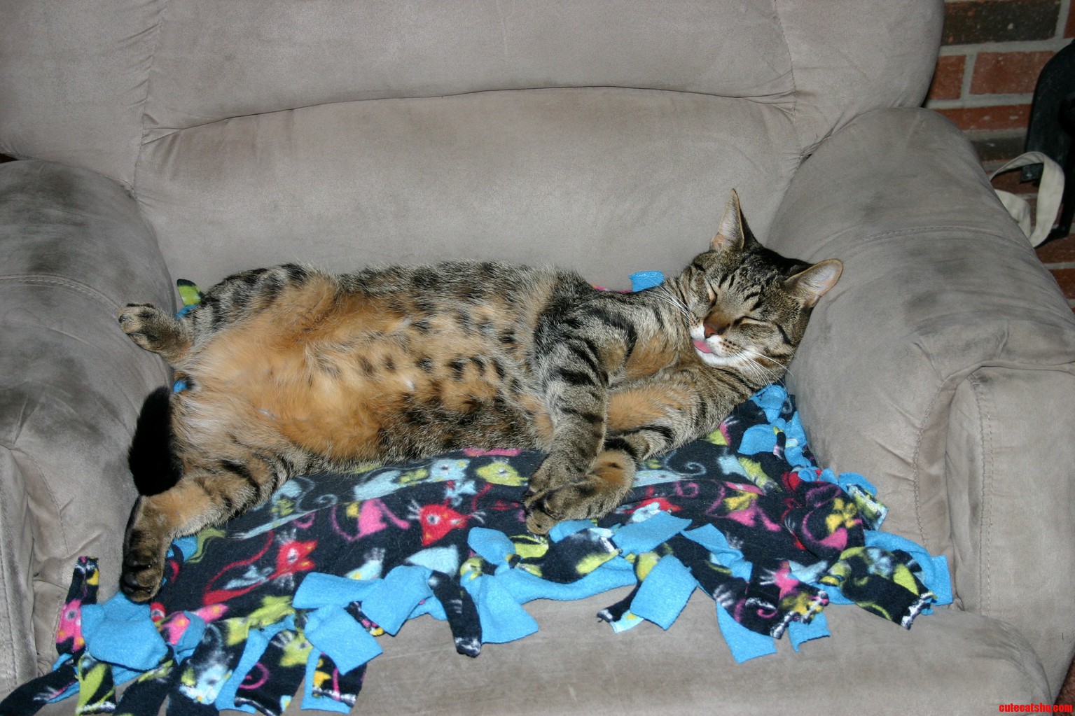 Meet Hunter - Hes Such a Derp