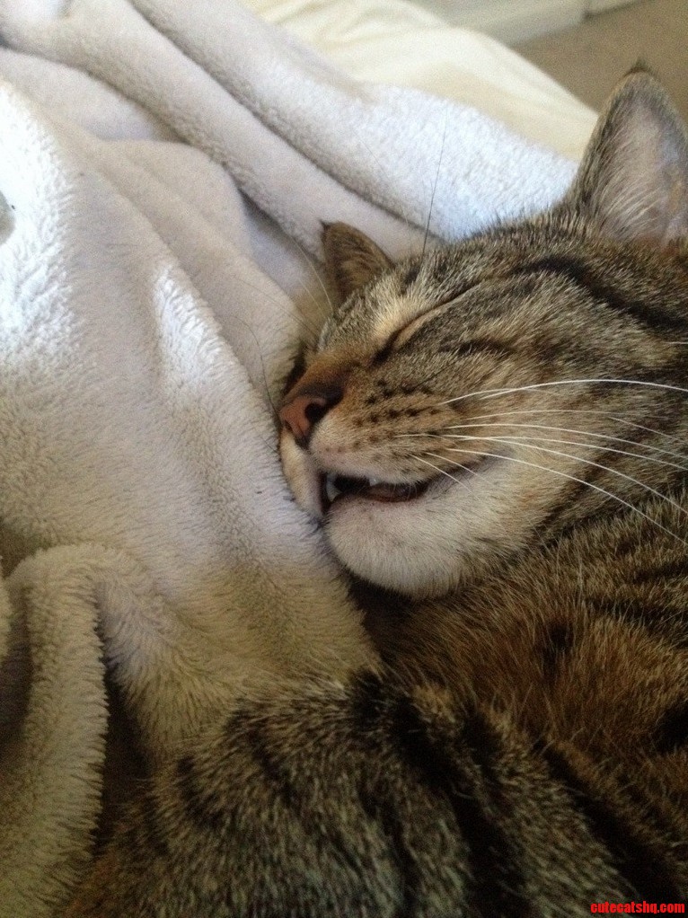 My Baby Jackson Sleeping with His Mouth Open