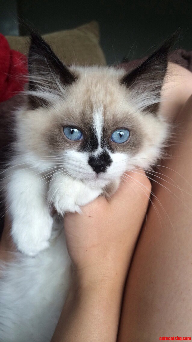 My Gorgeous Mala.