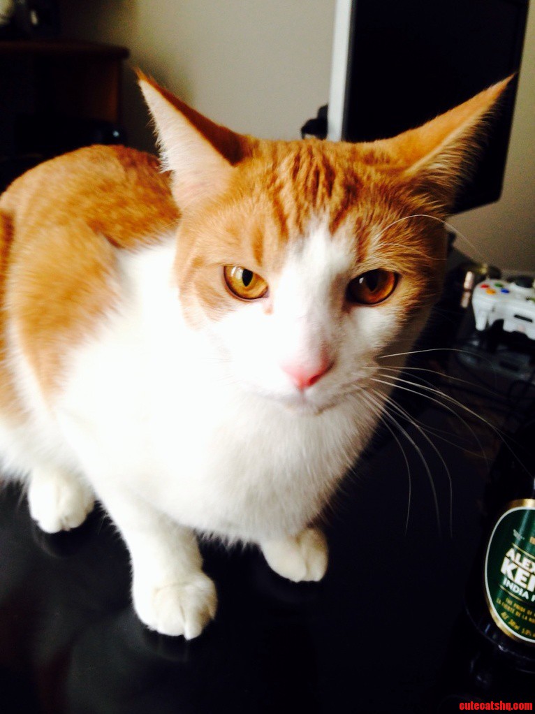 My Handsome Man Looking Quite Devilish.