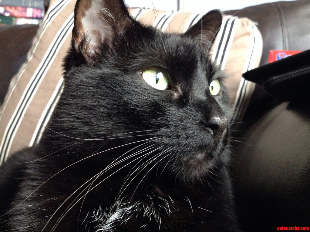 My Kiska