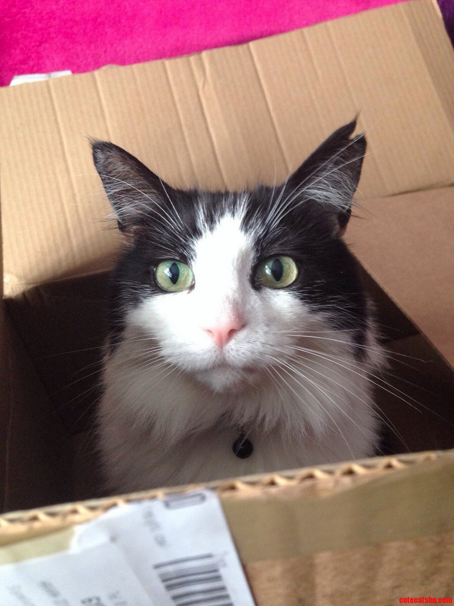 My Little Lady Was Pleased with Her New Box.