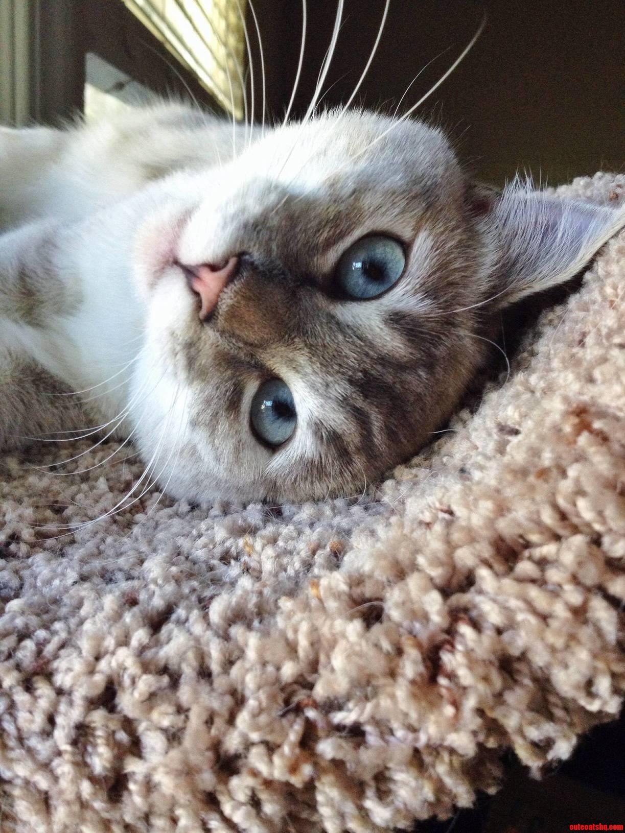Oh. Hello There.