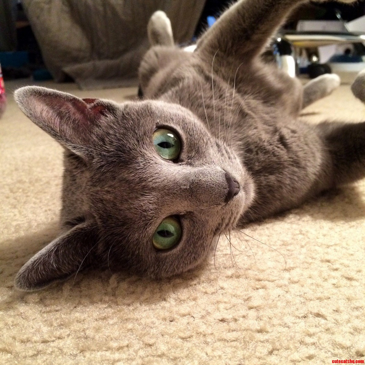 Relaxing After Sunbathing