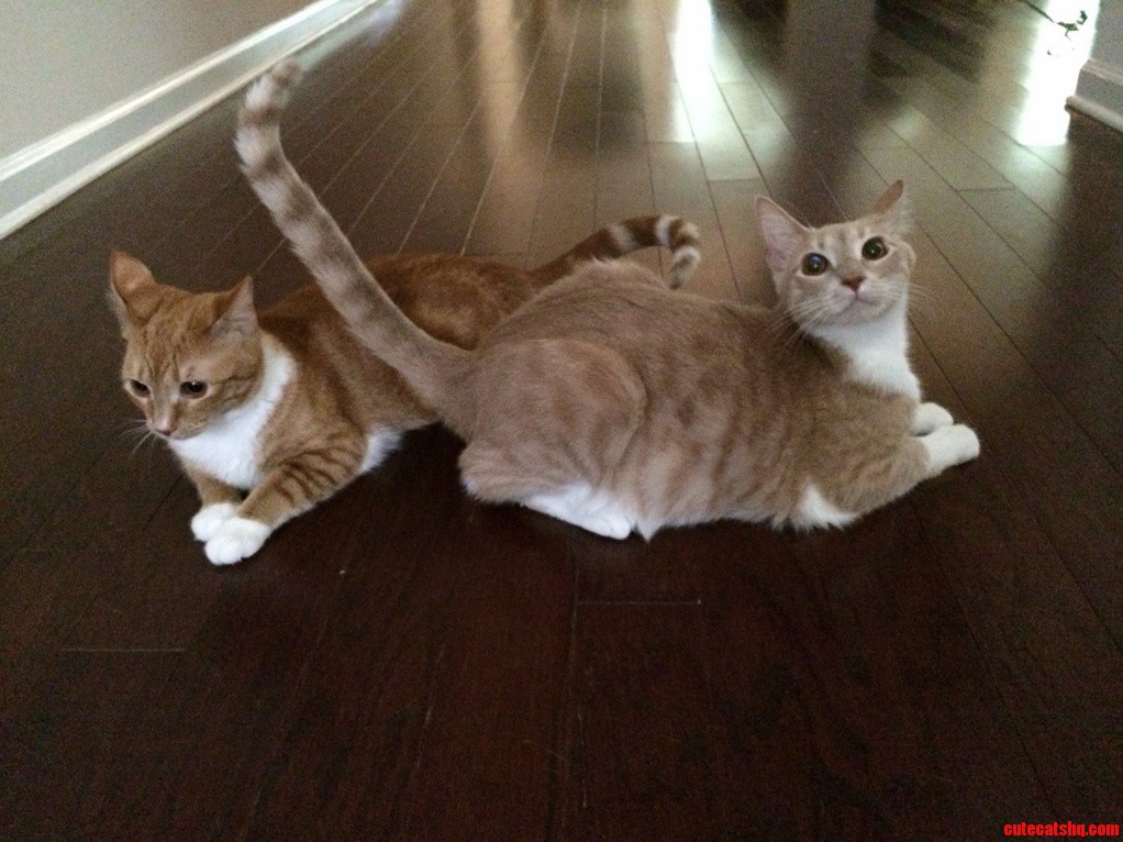 Sandy and Andi