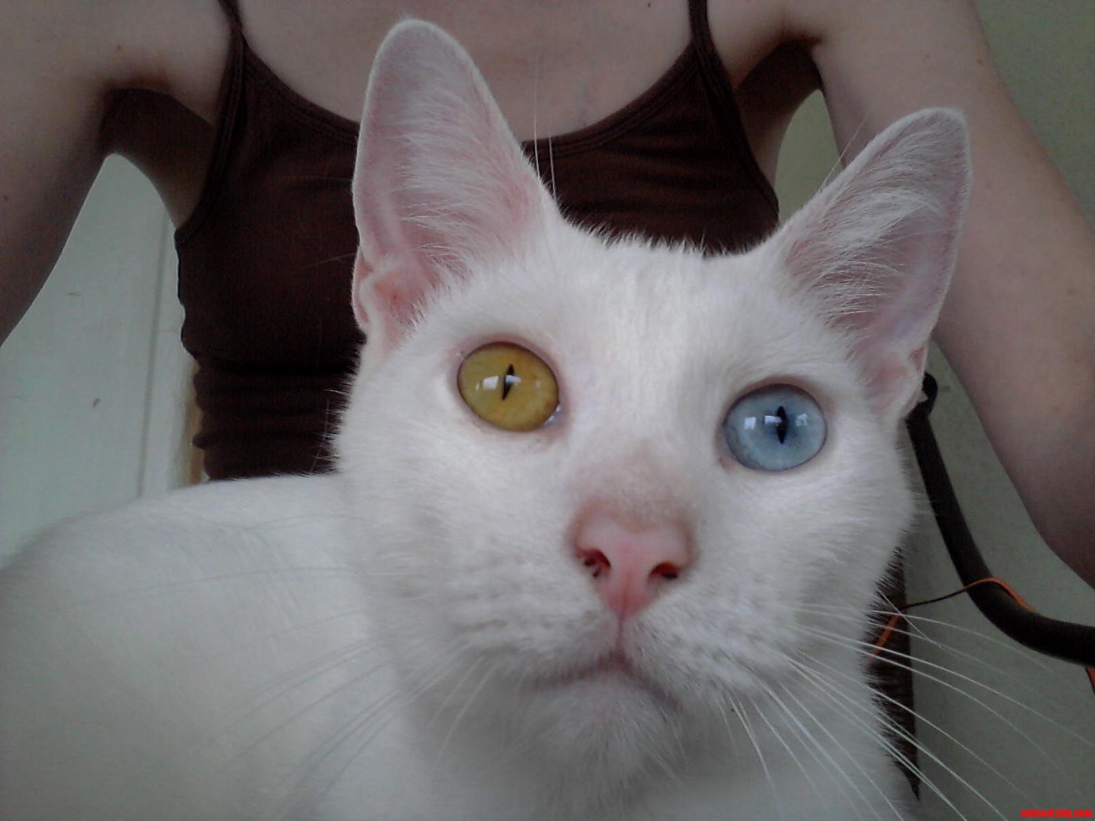 She Always Looks So Surprised.