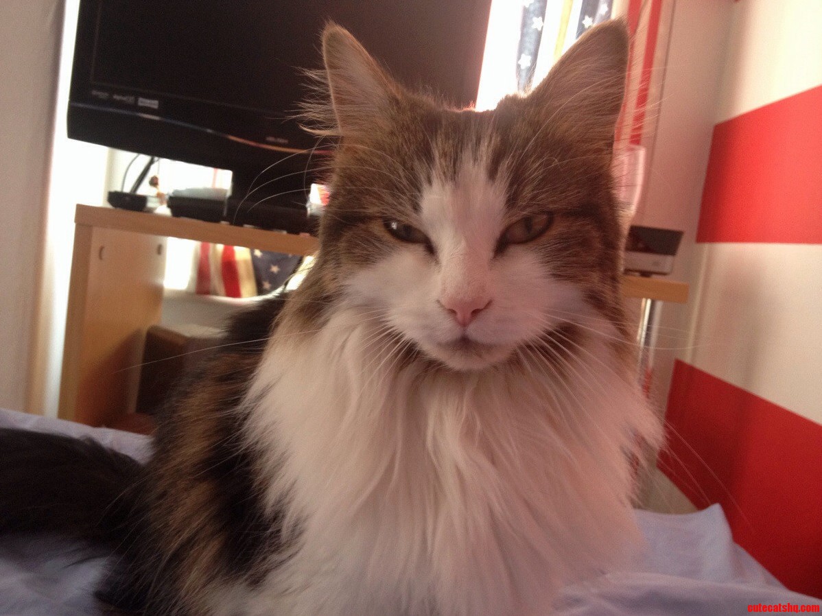 She Dribbles When She Purrs.