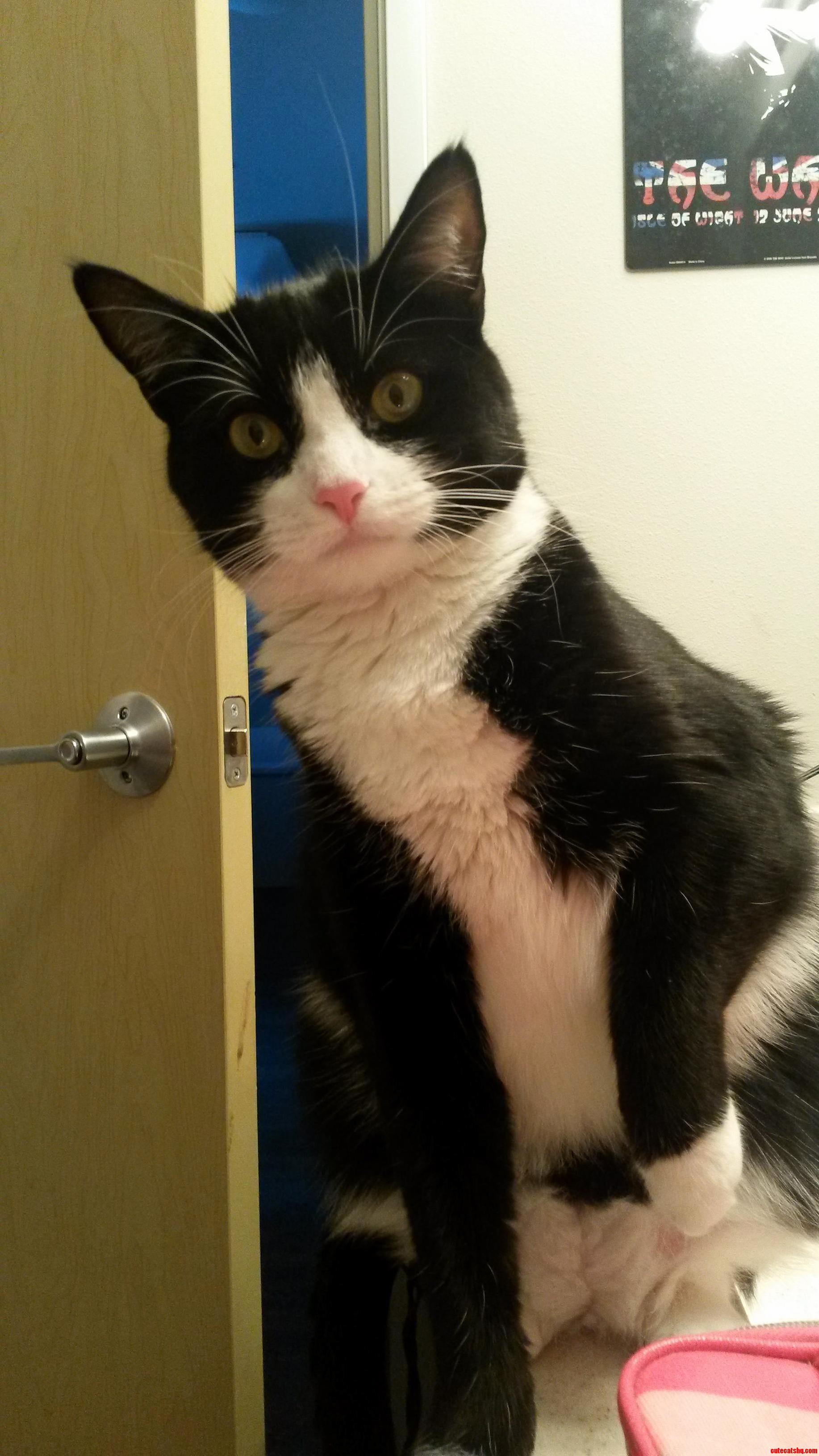 She Likes to Watch While Im Using the Toilet