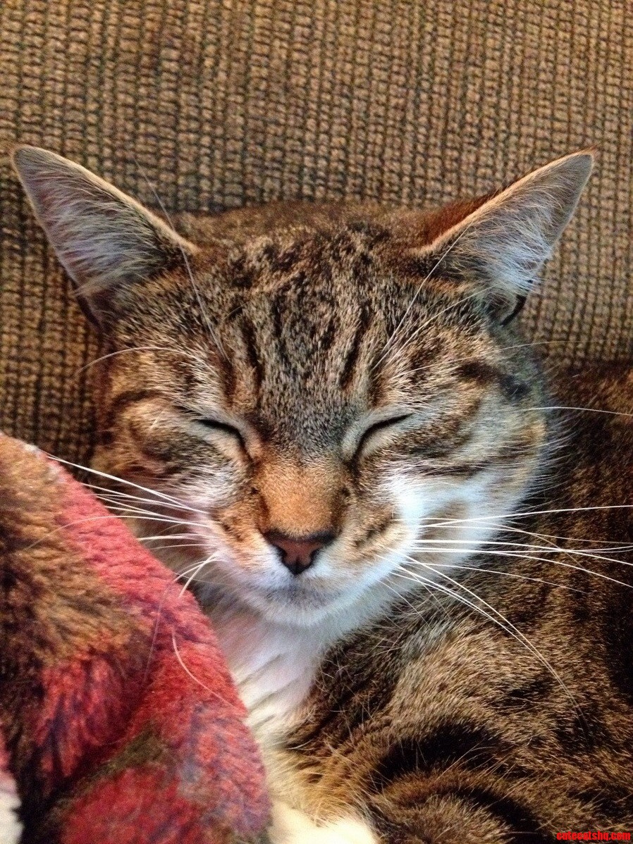 Shes Like an Old Lady Cant Keep a Conversation Without Falling Asleep.