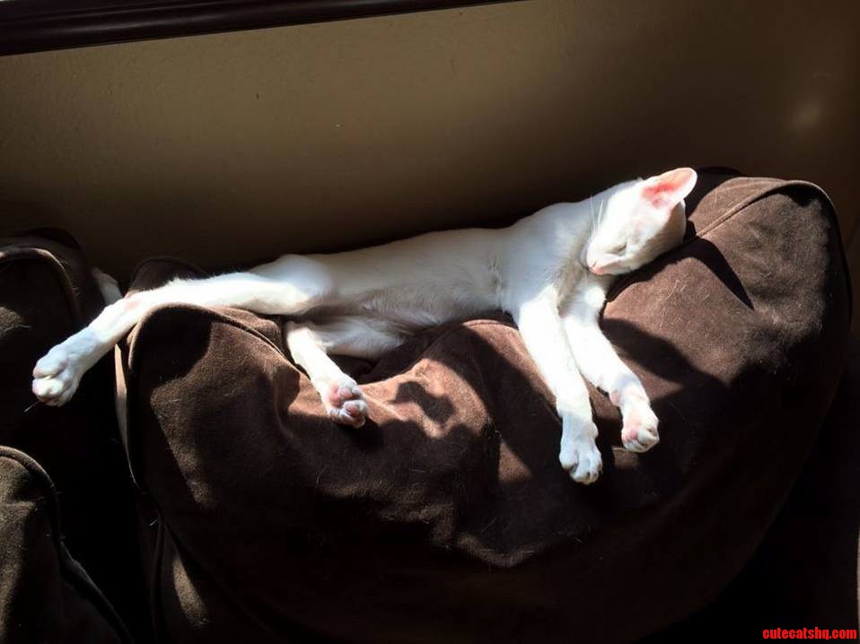 Sleepy Time