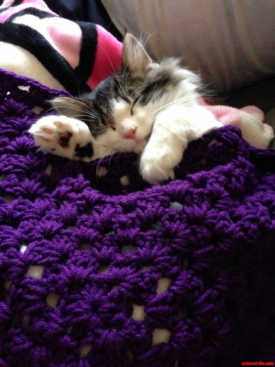 Snug As a Bug in a Rug.