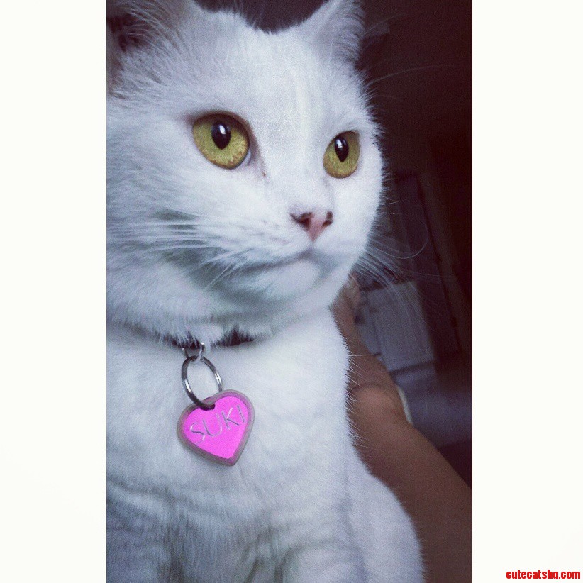 So Regal
