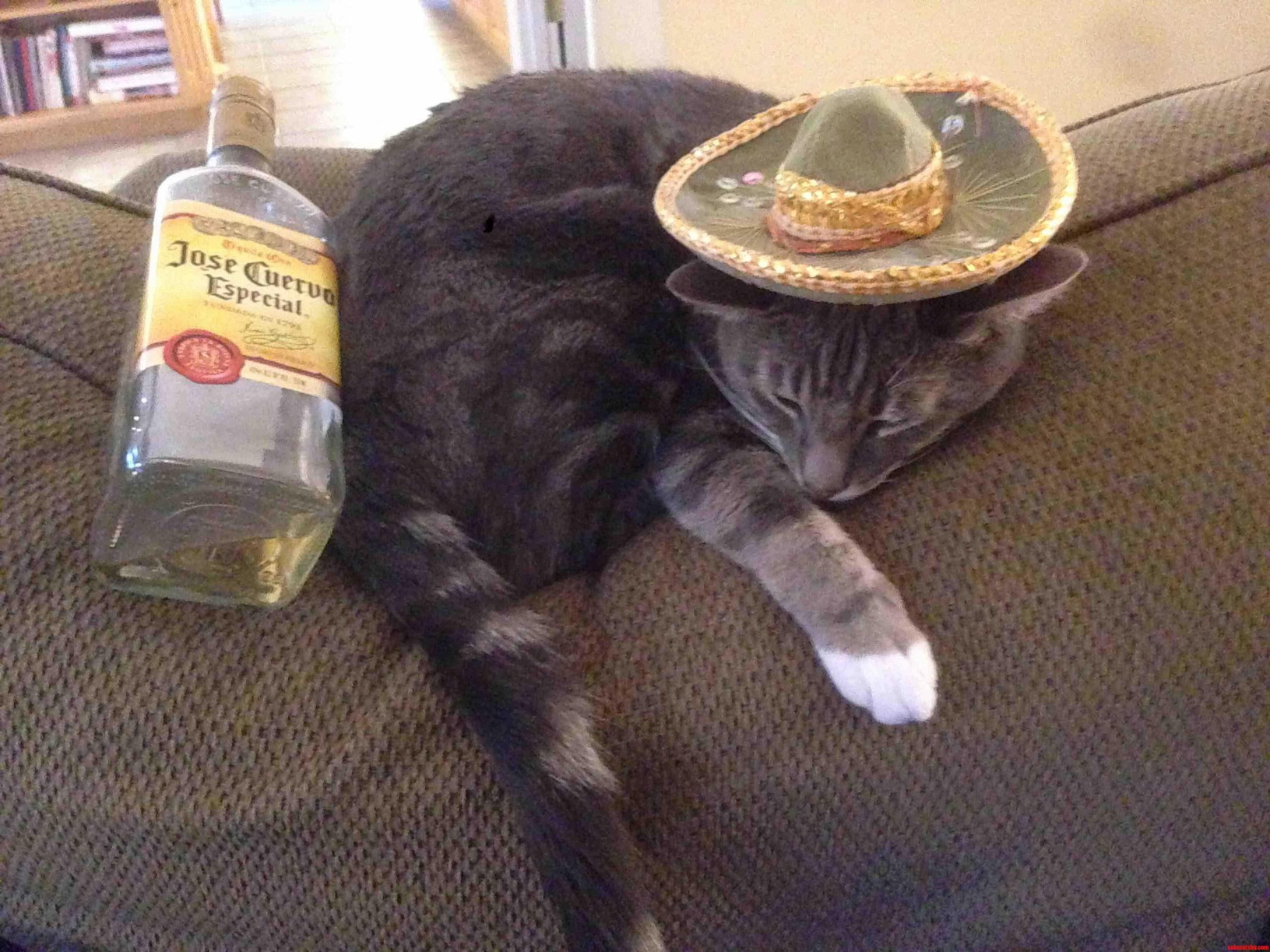 Someone Had a Good Weekend.