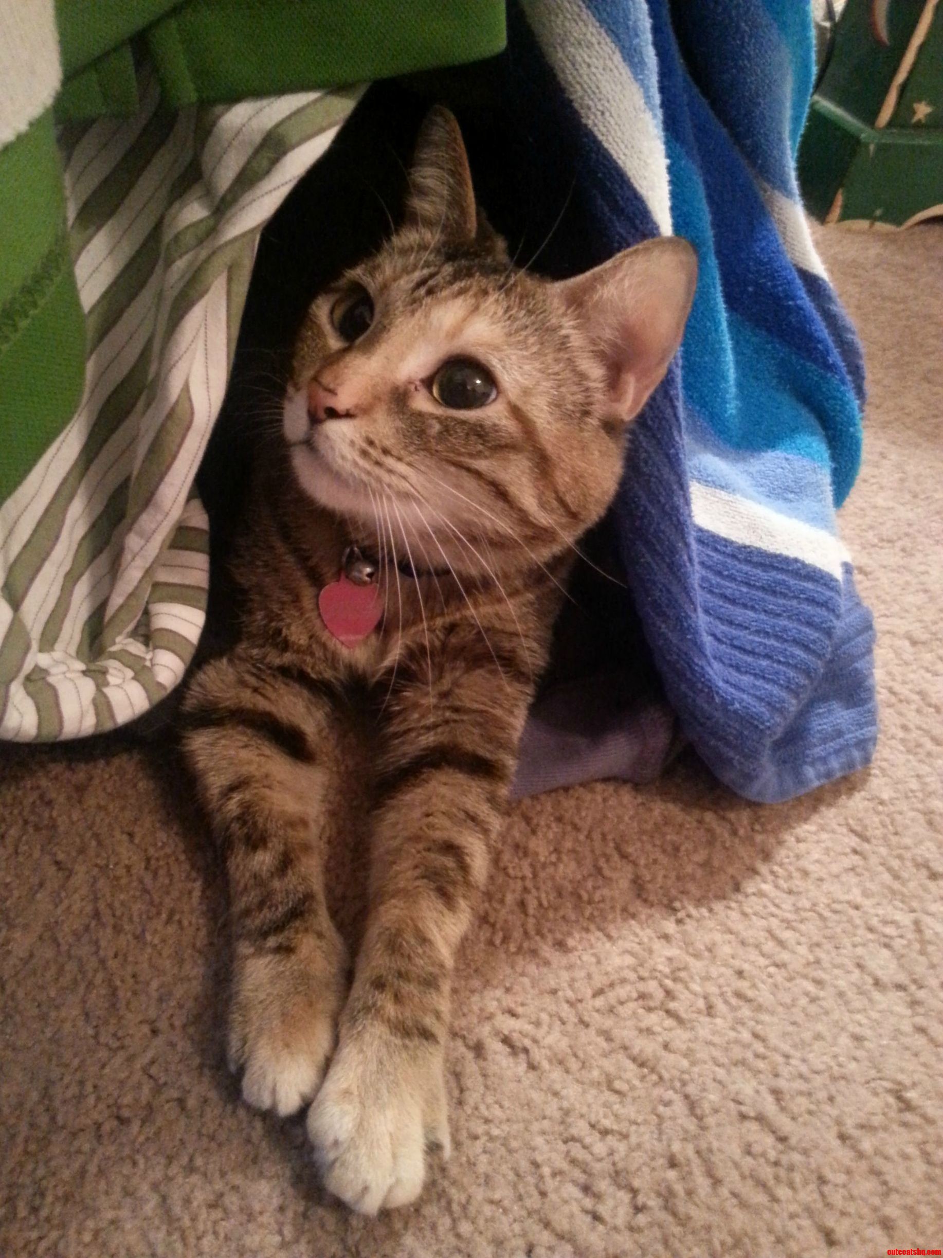 Someone Made Herself a Cave Out of the Overflow of Our Dirty Laundry