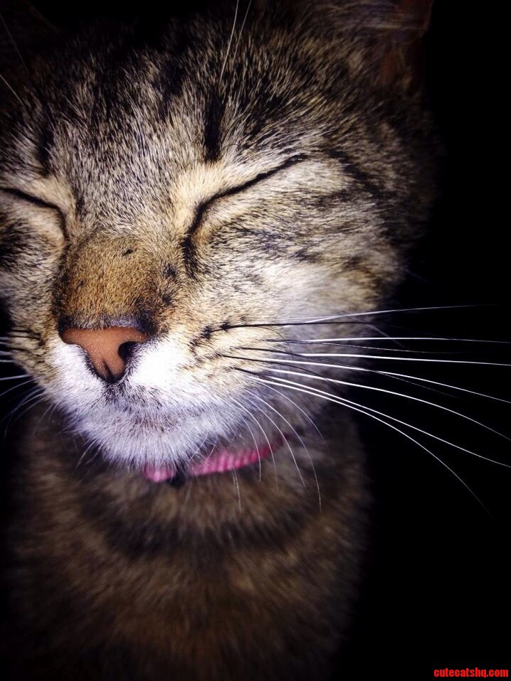 Such a Sleepy Lil Girl..