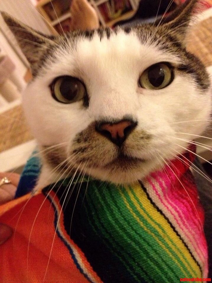 Teo in a Sarape.
