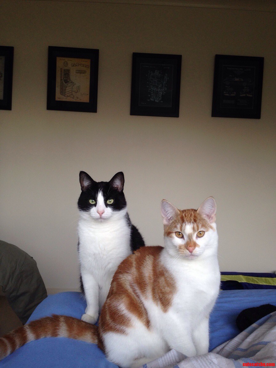 The Boys Waiting for Me to Get Up