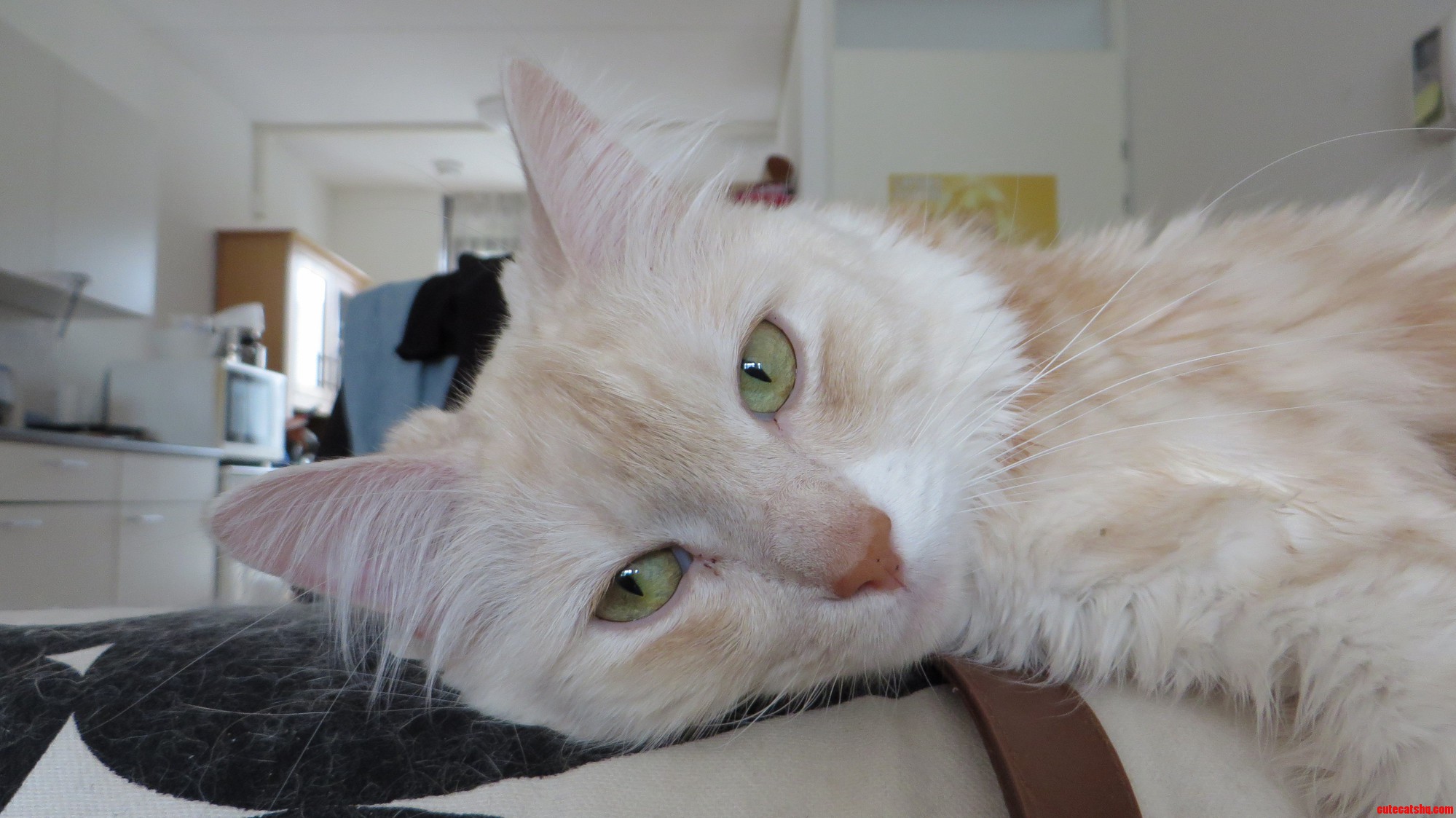 The Camera Turned Itself on Im Not a Model