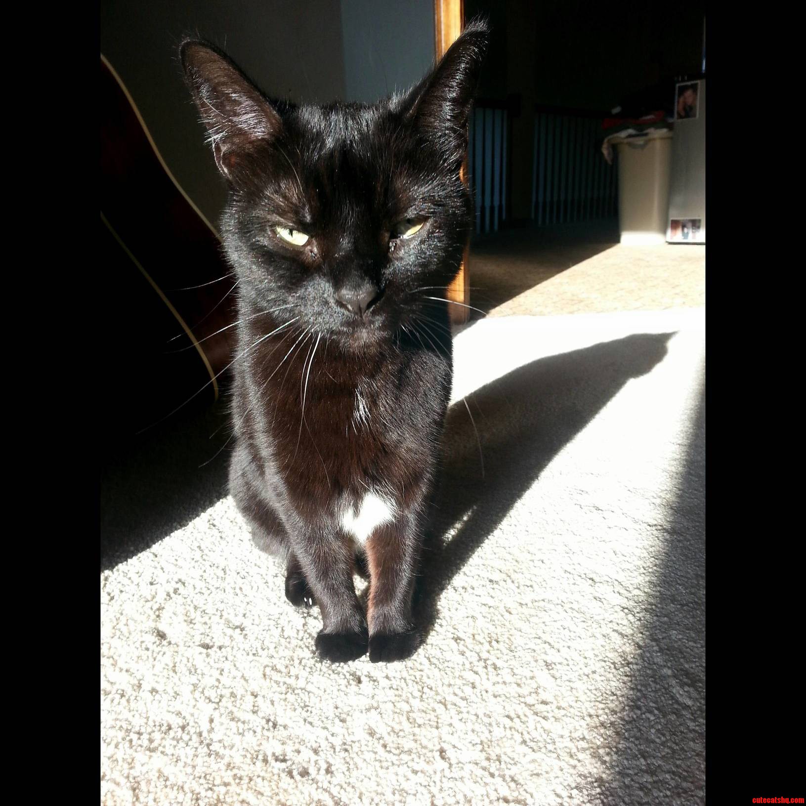 The Height of Her Greatness Cannot Be Measured Not Even by Her Shadow.