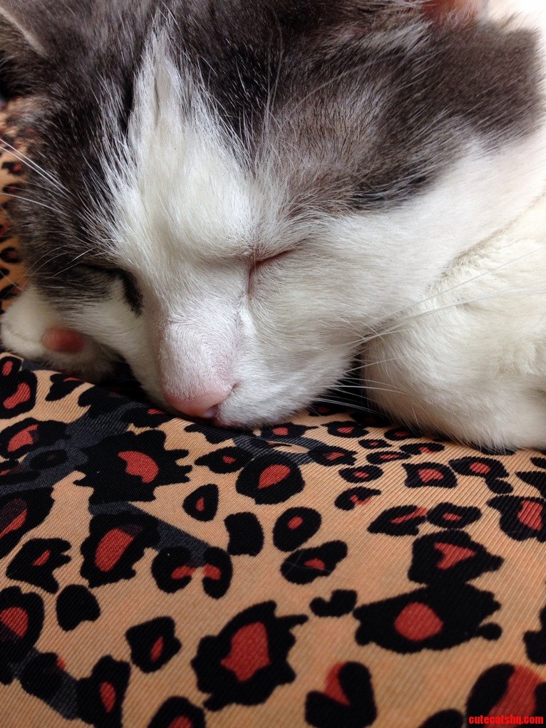This Is Felicia She Likes Biting Me