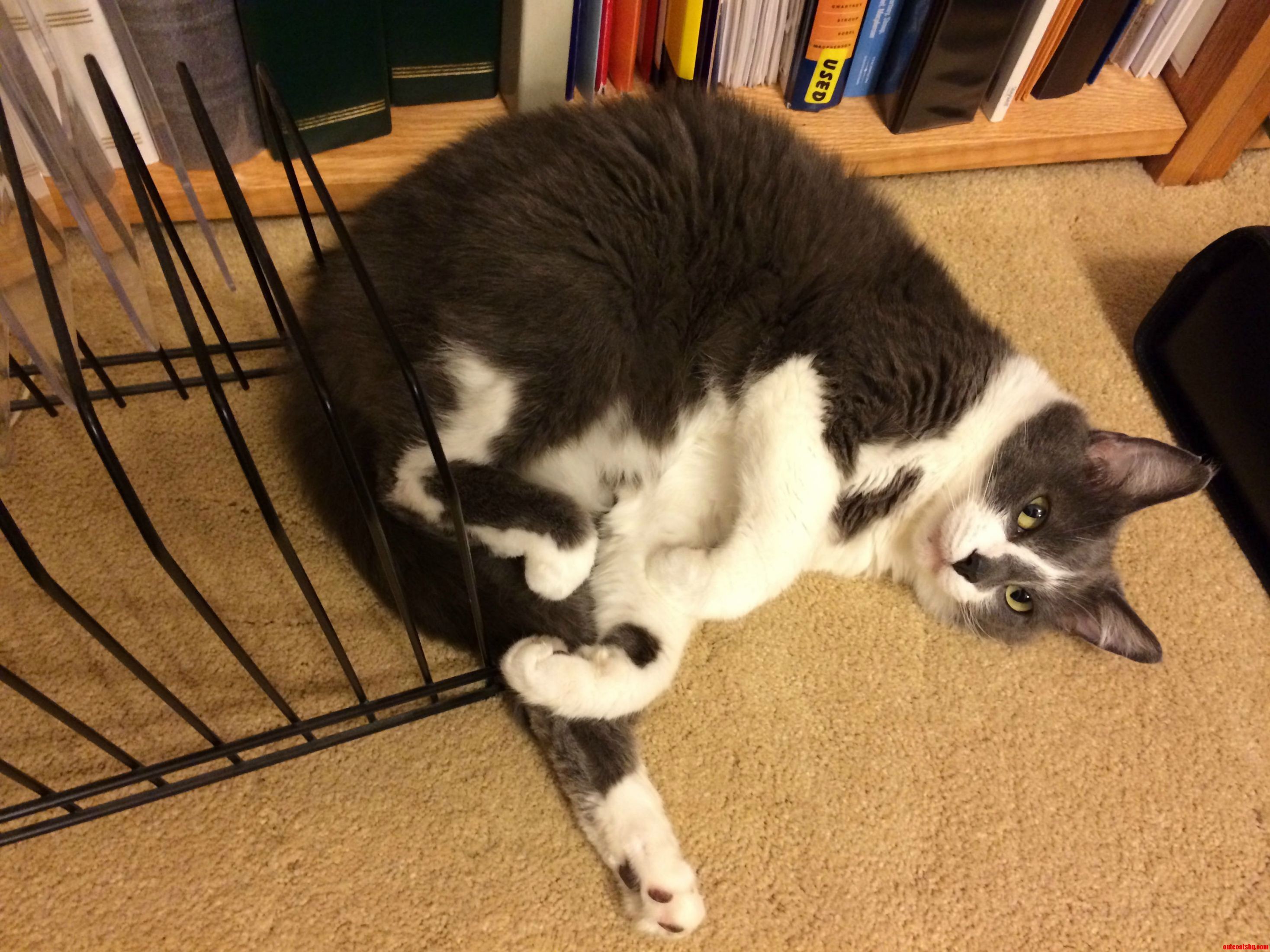 This Is How Minnie Chooses to Relax...