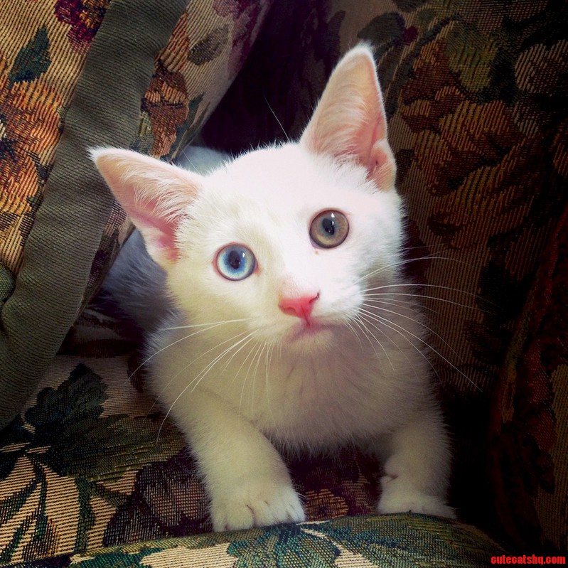 This Is Luna Our Sweet Green and Blue and Pink Baby