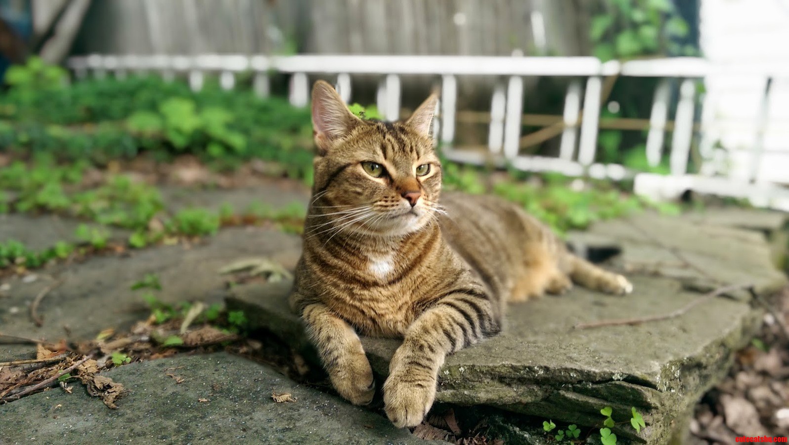 This Is My Leela