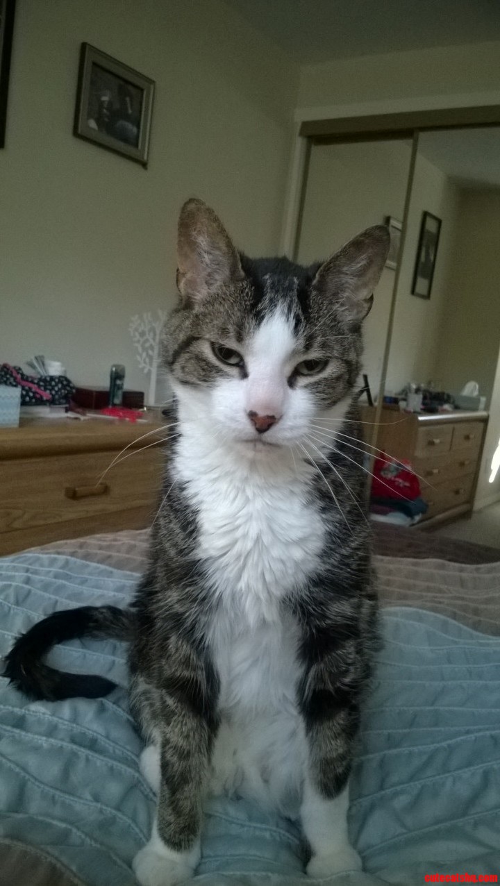 This Is What I Wake Up to Every Morning...