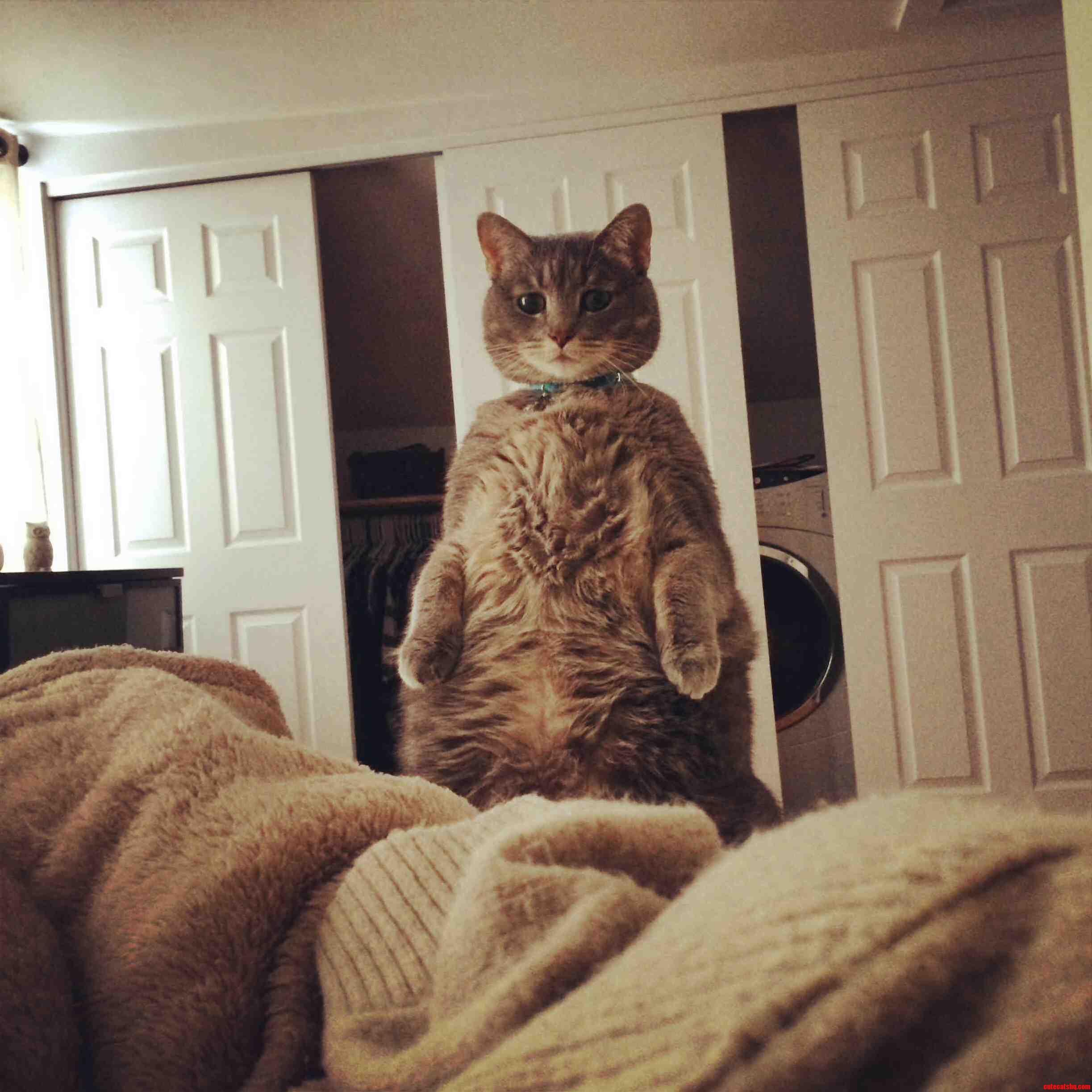 This Is What I Wake Up to Every Morning.
