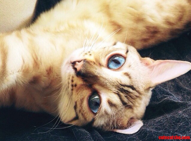 Those Eyes
