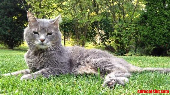 Today Is Joes 15th Birthday.