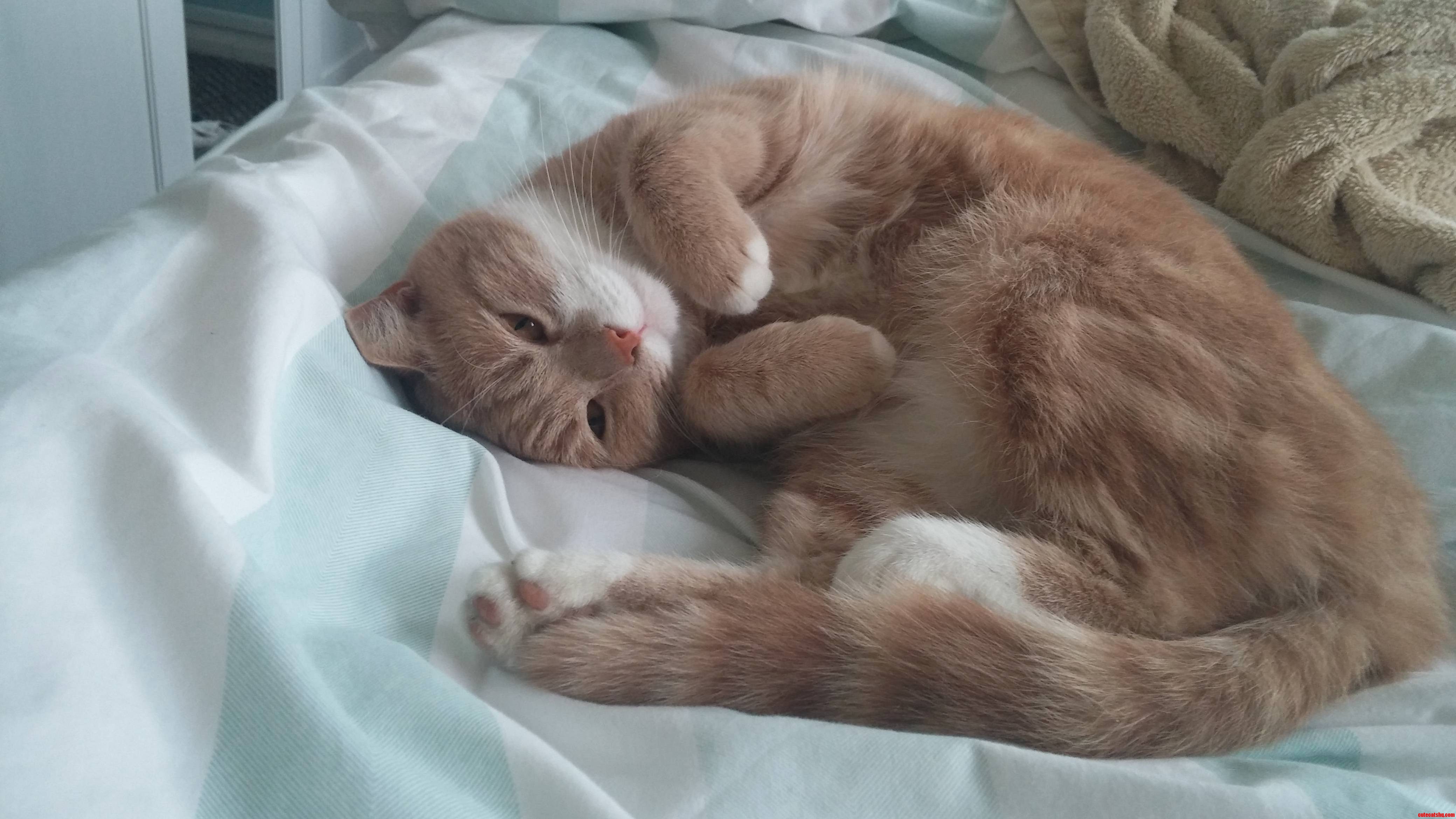 Too Cute