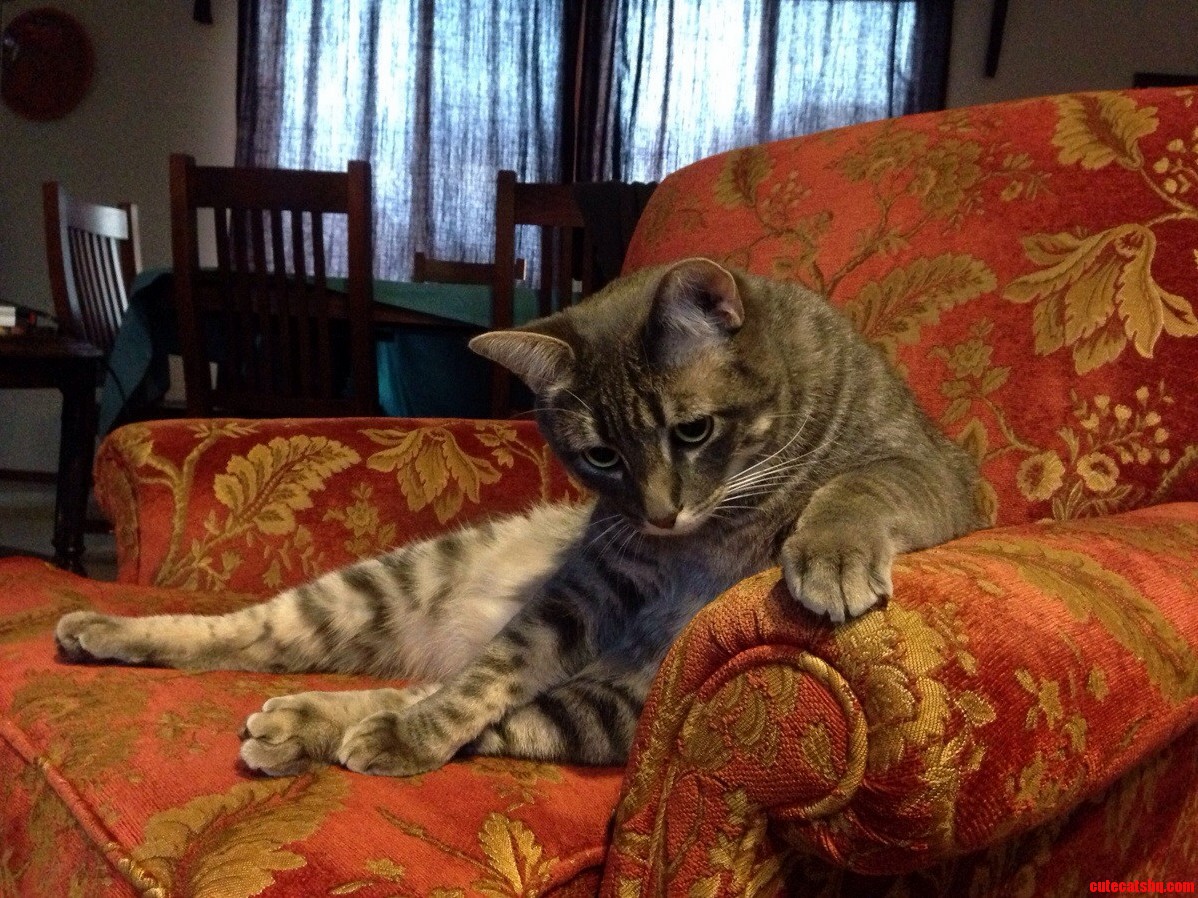 We Arent Allowed to Sit in This Chair Anymore.