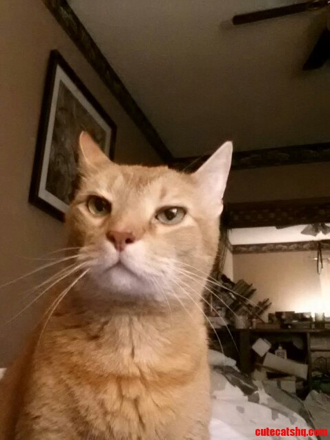 Why Are You Taking My Picture Again
