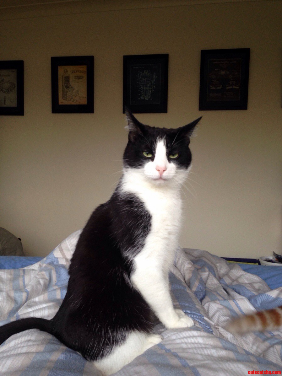 Young Frank Looking Rather Proper