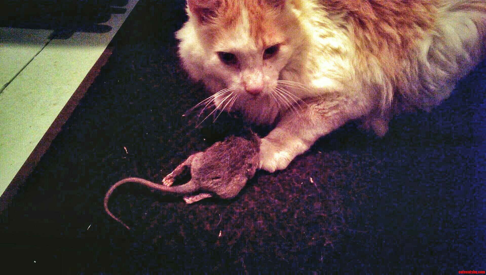 15 Years Old and He Still Brings Me Presents