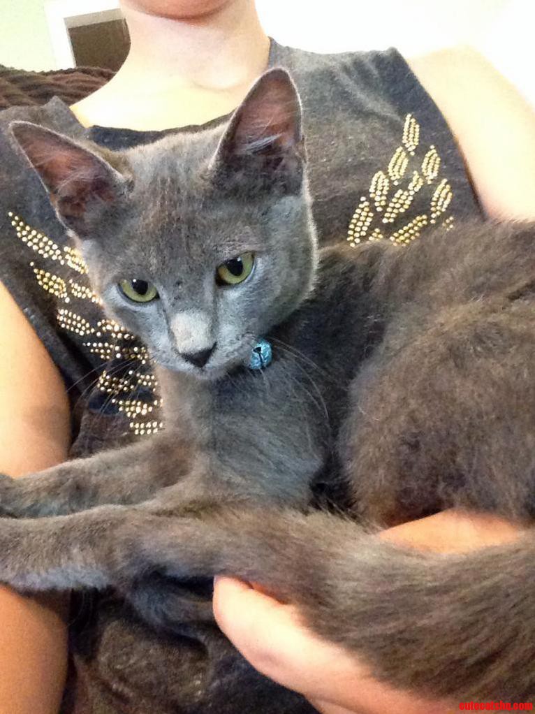 Adopted This Handsome Fella Today. Cant Decide on a Name
