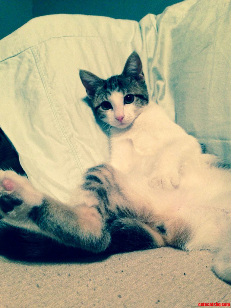 Ahhh Lazy Days