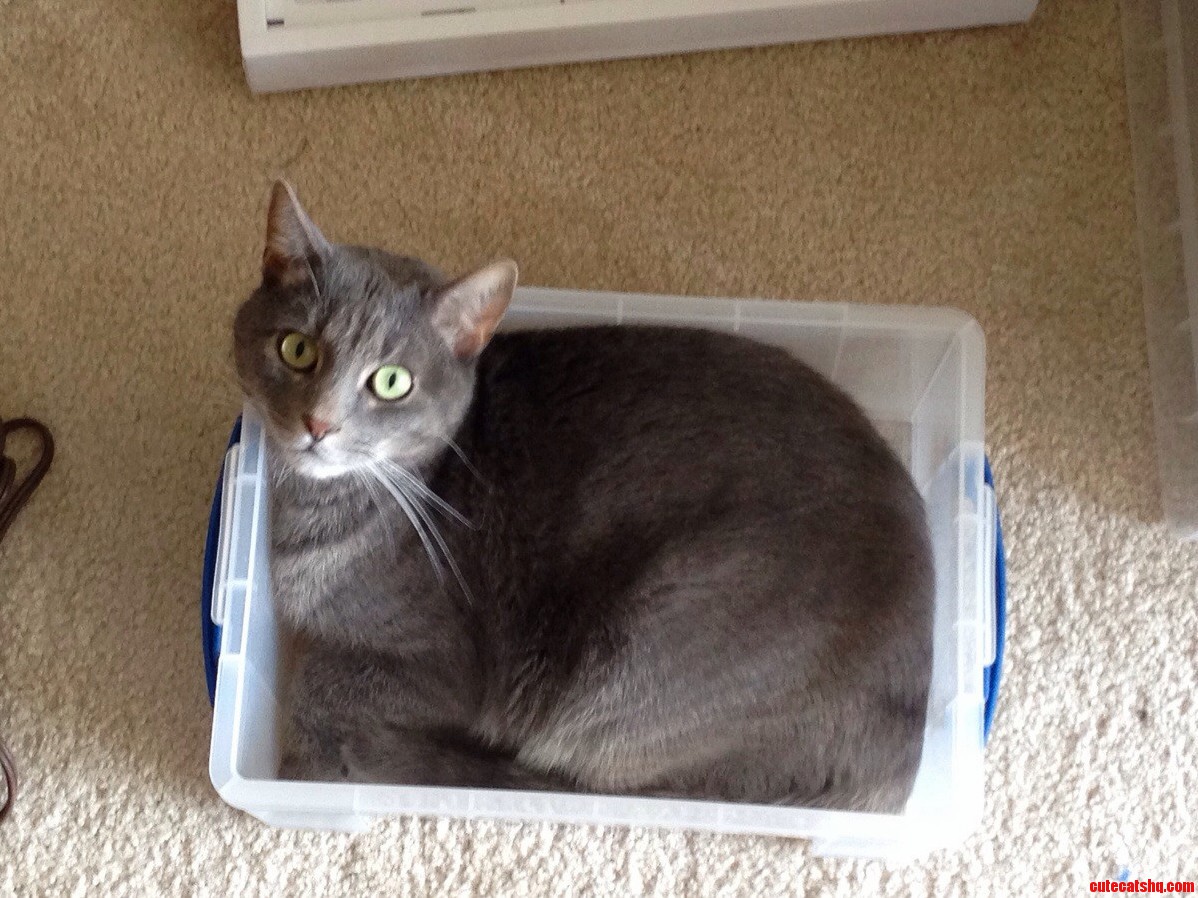 All Packed Up
