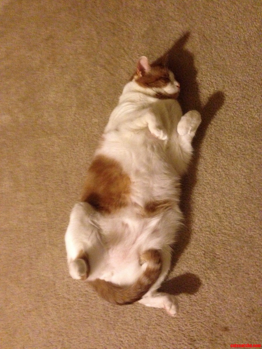 All Tuckered Out