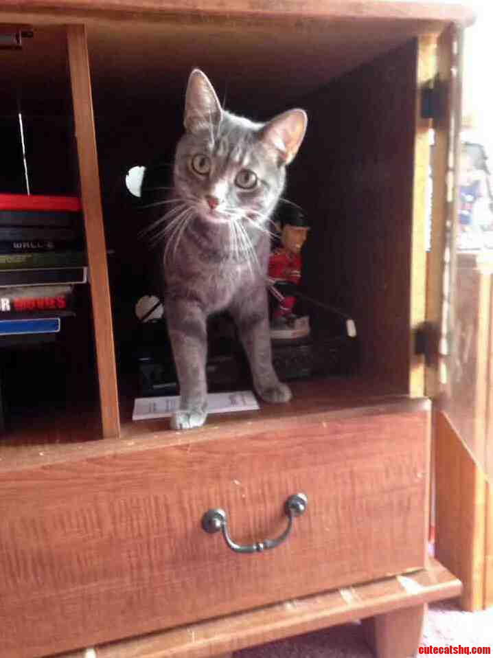 Always Getting Into Trouble. My Beautiful Arya