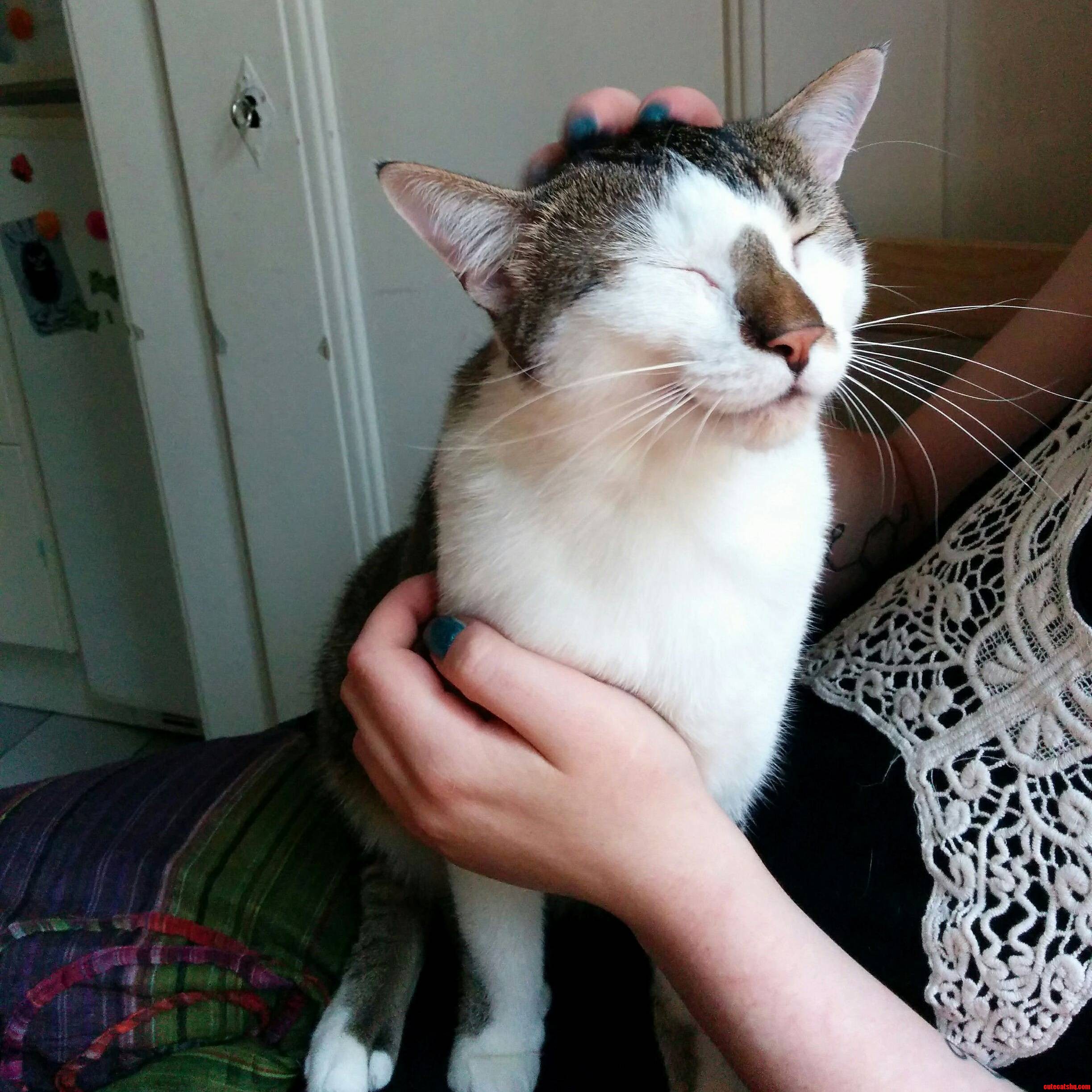 And This Grin Is Why His Name Is Joker